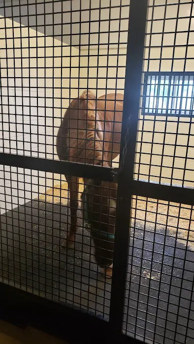 Great Lakes Equine Wellness Center 10