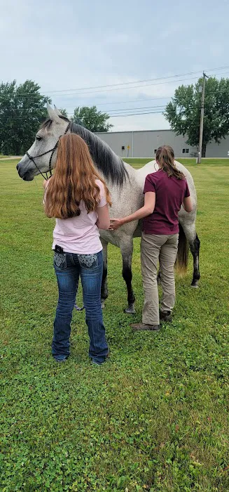 Great Lakes Equine Wellness Center 1