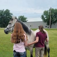 Great Lakes Equine Wellness Center ico
