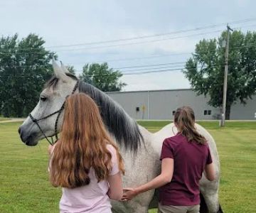 Great Lakes Equine Wellness Center