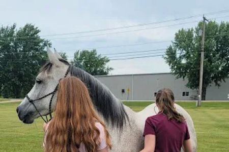 Great Lakes Equine Wellness Center