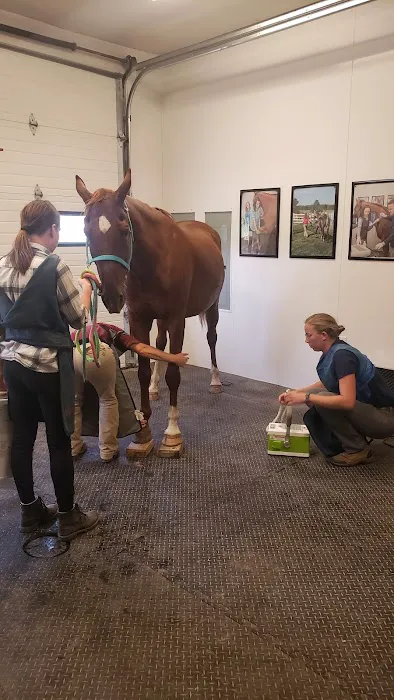 Great Lakes Equine Wellness Center 3