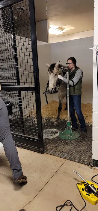 Great Lakes Equine Wellness Center 9