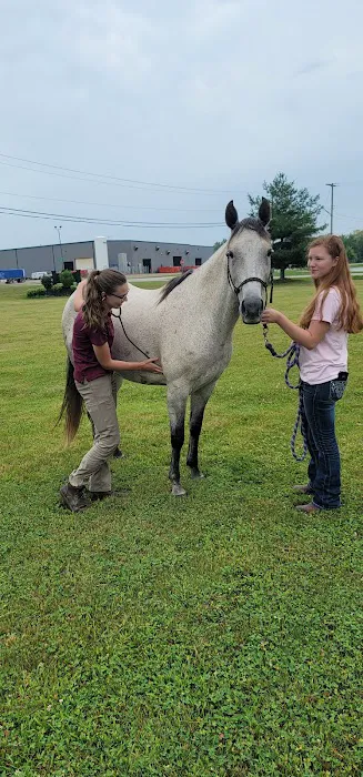 Great Lakes Equine Wellness Center 2