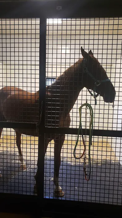 Great Lakes Equine Wellness Center 8