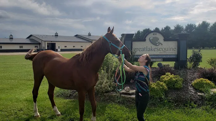Great Lakes Equine Wellness Center 6