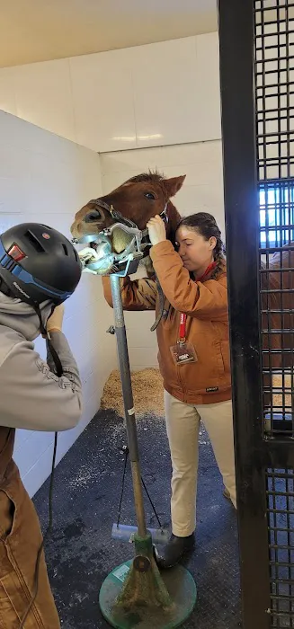 Great Lakes Equine Wellness Center 7