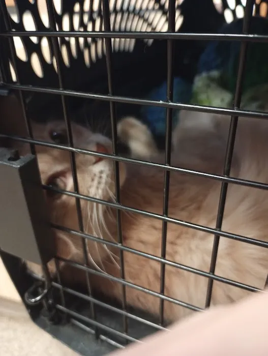 Heritage Animal Hospital Ltd. 2