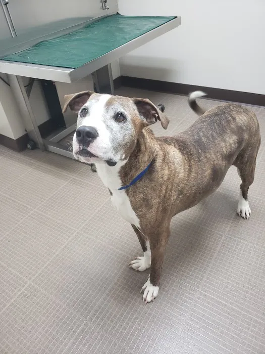 Hocking Hills Animal Clinic 1