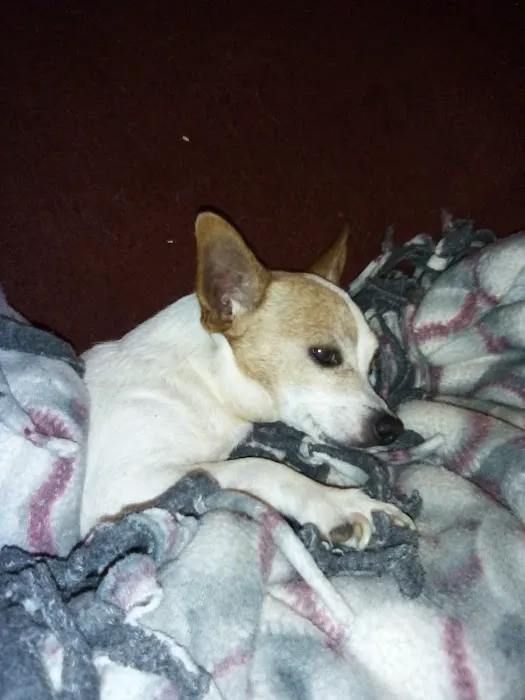Logan Animal Clinic 4