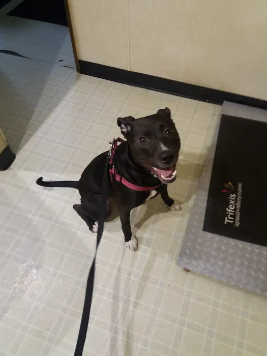 Maysville Animal Hospital 9