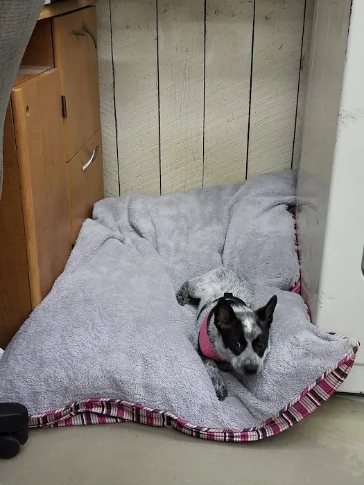 Maysville Animal Hospital 7