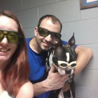 Olde Falls Road Sm Animal Clinic ico
