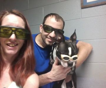 Olde Falls Road Sm Animal Clinic