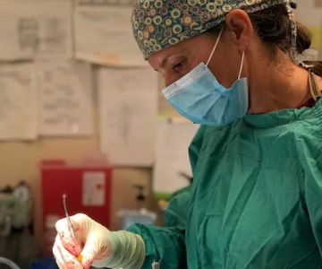 Gandolf Veterinary Surgery