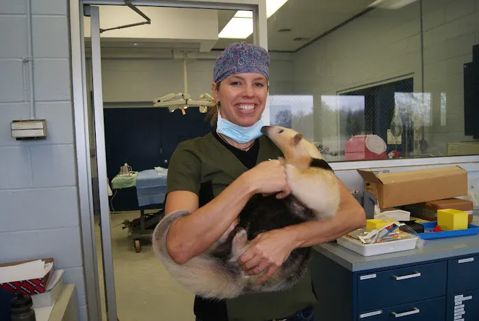Gandolf Veterinary Surgery 4