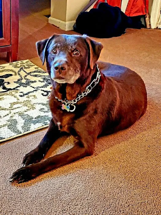Muskingum Valley Vet Services 7