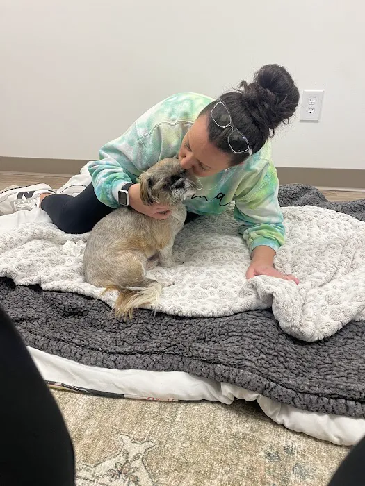 Northpointe Veterinary Care 4
