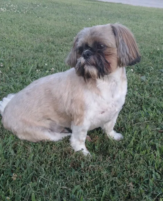 Northpointe Veterinary Care 3