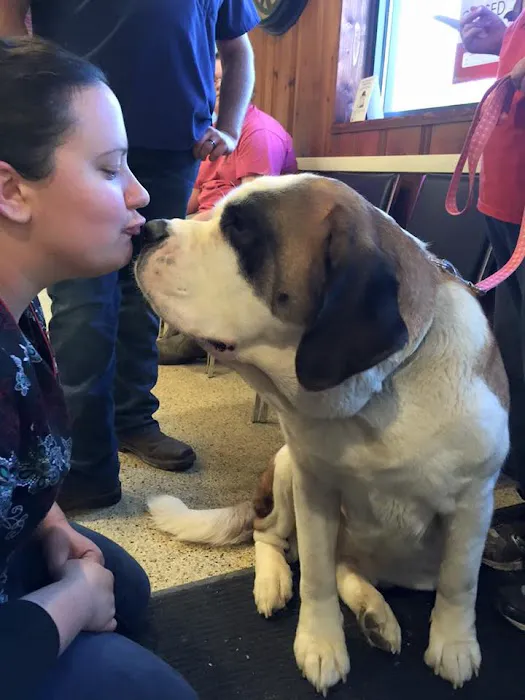 All About the Animals Veterinary Clinic 3