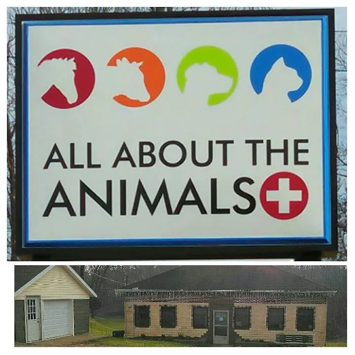 All About the Animals Veterinary Clinic 1