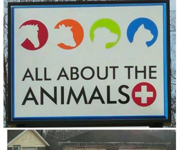All About the Animals Veterinary Clinic