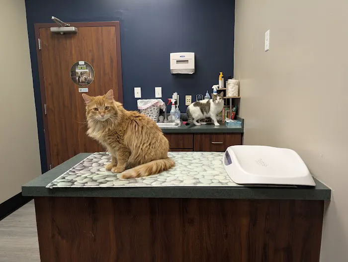 Fredericktown Veterinary Clinic 3