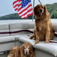 Fredericktown Veterinary Clinic ico