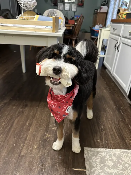 Danville Veterinary Clinic 4