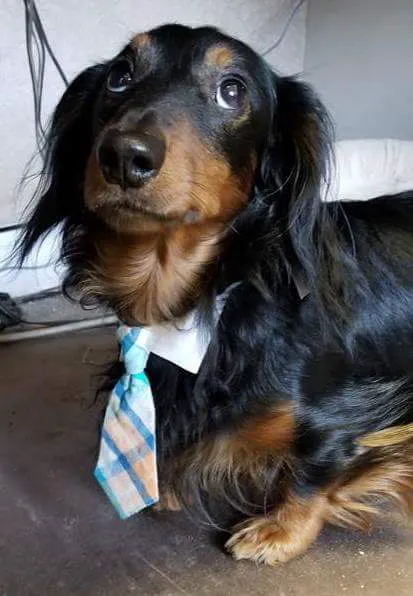 Barron Veterinary Clinic, LTD 2