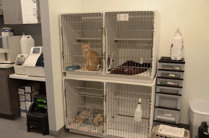Animal Hospital North Aka Healthy Pets 12