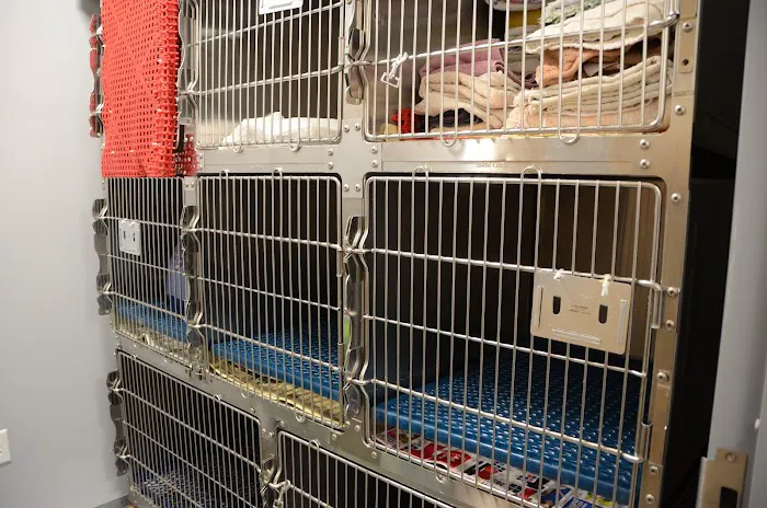 Animal Hospital North Aka Healthy Pets 12