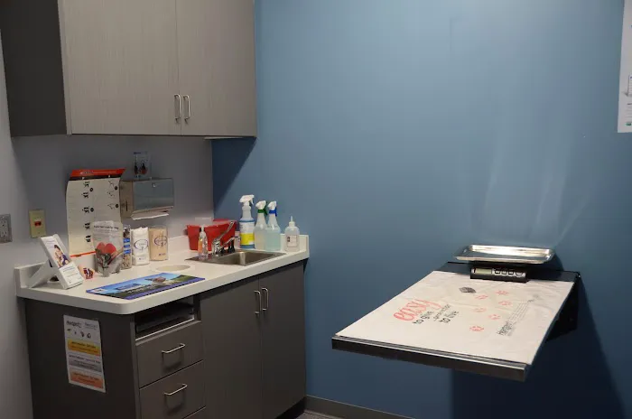 Animal Hospital North Aka Healthy Pets 12