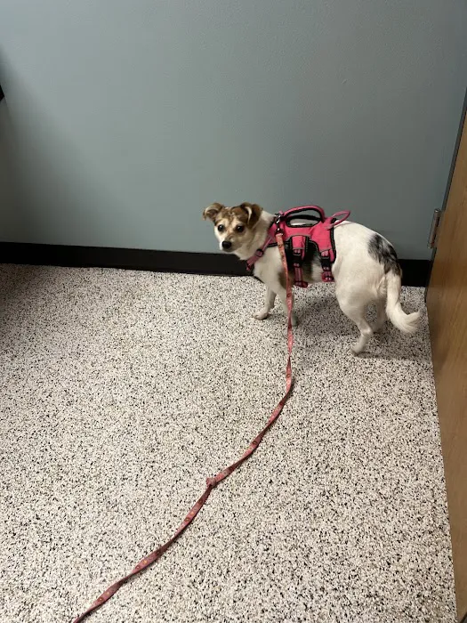 Rice Lake Animal Hospital 1
