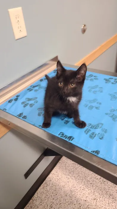 Rice Lake Animal Hospital 2