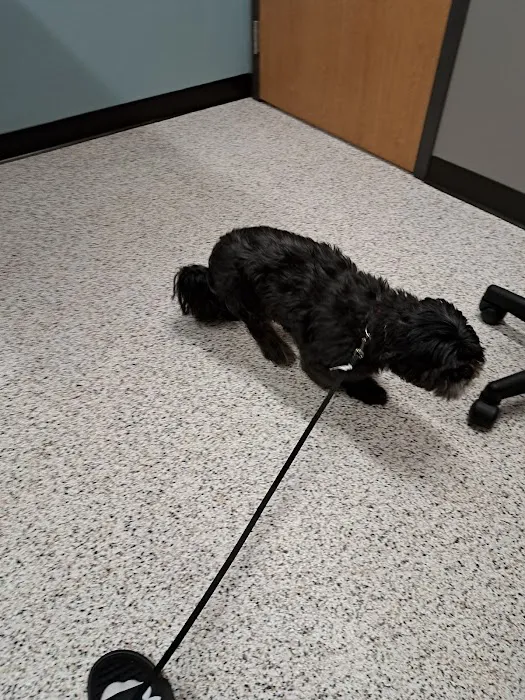 Rice Lake Animal Hospital 8