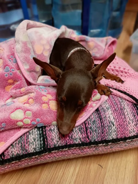 Rice Lake Animal Hospital 3