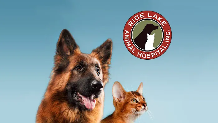 Rice Lake Animal Hospital 10