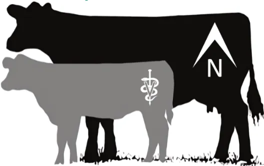 Northbound Veterinary Services 1