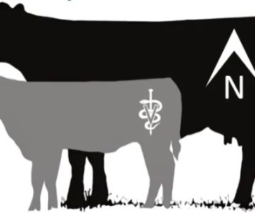 Northbound Veterinary Services