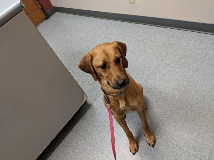 Mille Lacs Veterinary Clinic at Milaca 3