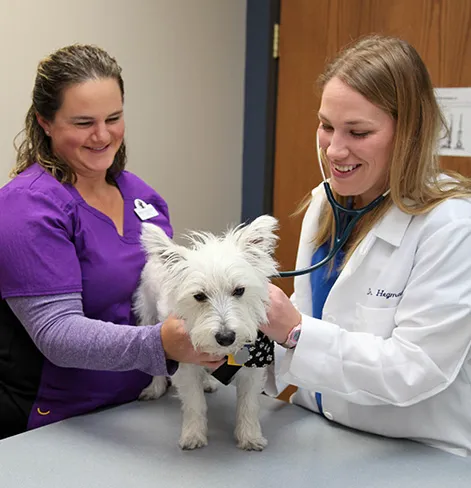 Mille Lacs Veterinary Clinic at Foley 3