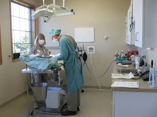Mille Lacs Veterinary Clinic at Foley 5