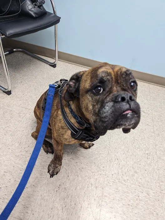 Mille Lacs Veterinary Clinic at Foley 2