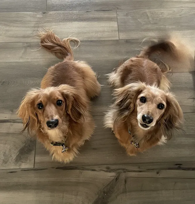 Sirius Veterinary Care 3