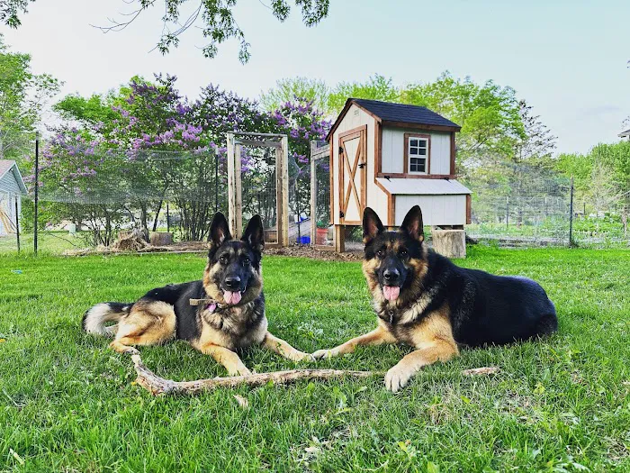 Sirius Veterinary Care 10