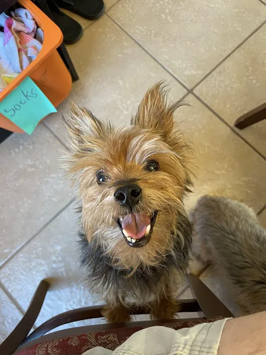 Sirius Veterinary Care 6