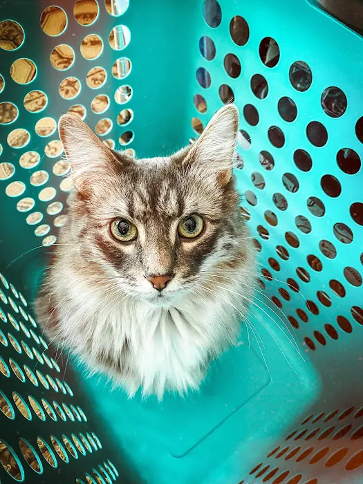 Sirius Veterinary Care 2