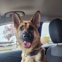 Hoof & Paw Clinic Ltd ico