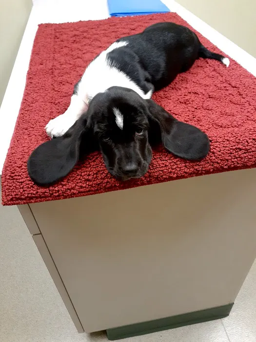 Brakken Veterinary Clinic 2